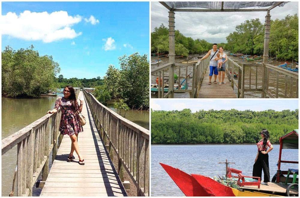 Mengintip Mangrove Bedul, Habitat Flora Fauna yang Masih Asri di Banyuwangi