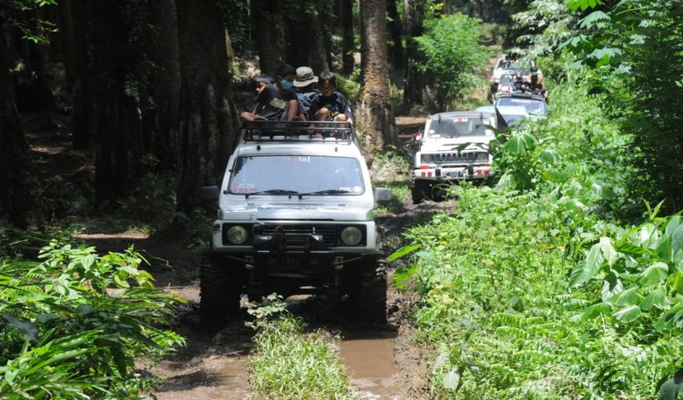 Keliling Hutan Pinus Songgon dengan Tour Jeep