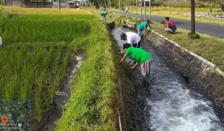 Banyuwangi Atasi Banjir dengan Kemitraan dan Inovasi