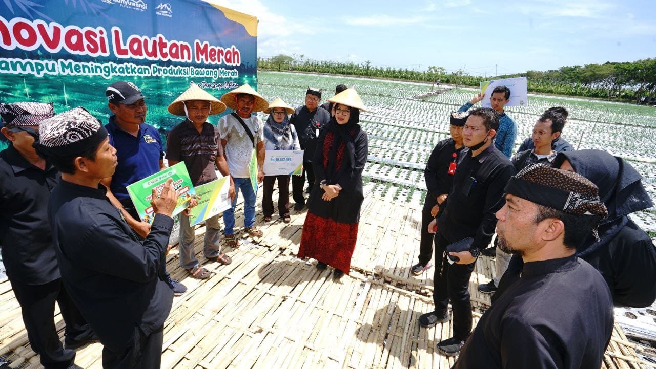 Kisah Sukses Poktan Tani Joyo: Teknologi Light Trap Dongkrak Produksi Bawang Merah