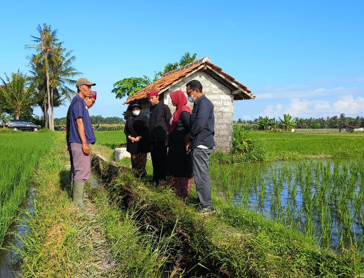 PPL Kurang, Petani Banyuwangi Terabaikan: Dewan Minta Penambahan Tenaga Penyuluh Pertanian