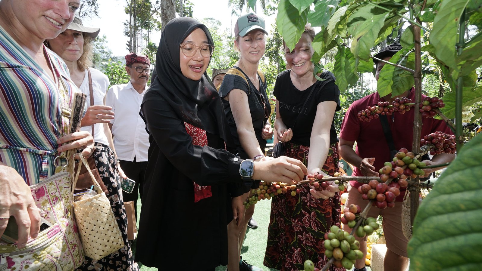  Kopi Kalibaru Dorong Keberlanjutan Kopi Banyuwangi