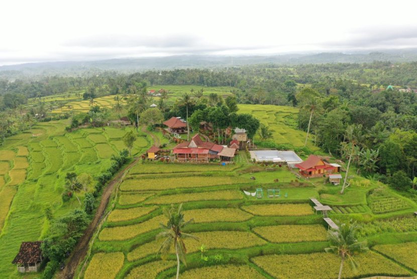 Cari Wisata Alam Perbukitan Datang Ke Lereng Ijen Banyuwangi 