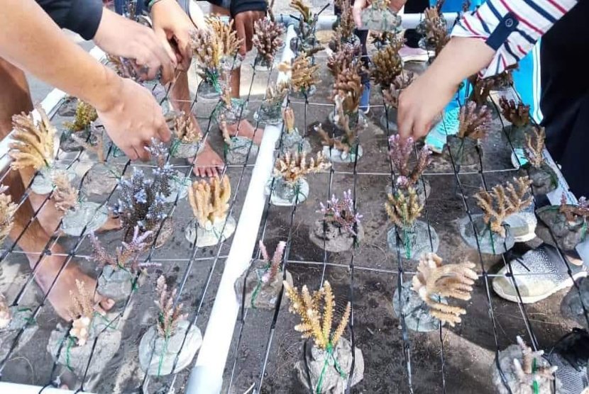 Pesona Wisata Laut Bangsring Underwater Banyuwangi 