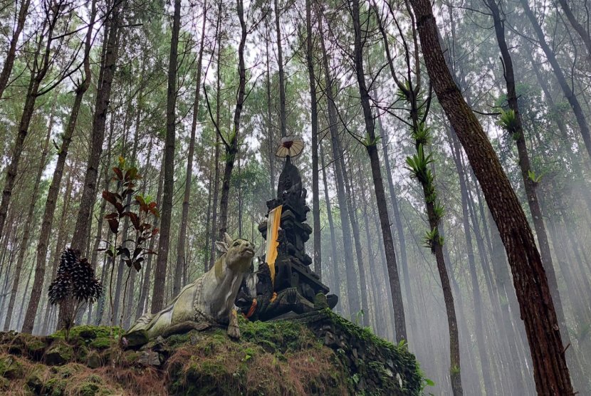 Beji Antaboga Banyuwangi Wisata Keberagaman Budaya 