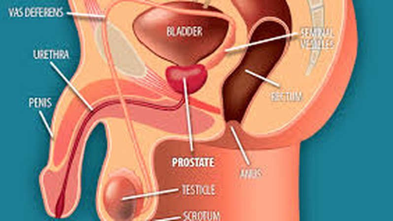Pasien Prostat Kini Lebih Nyaman dengan Operasi TURP di RSUD Genteng
