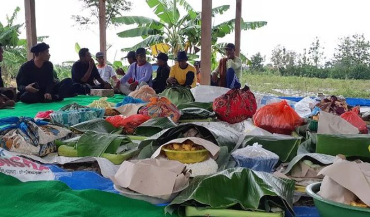 Solidaritas Petani Banyuwangi Melalui Tradisi Bubak Bumi: Perekat Rasa Persaudaraan
